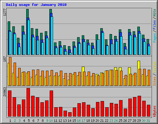 Daily usage for January 2010