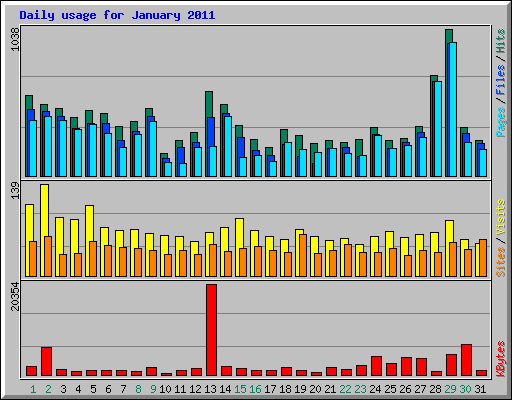 Daily usage for January 2011