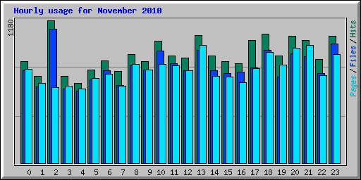 Hourly usage for November 2010