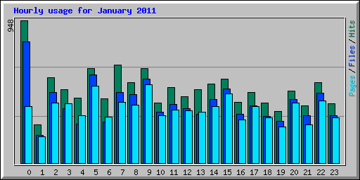 Hourly usage for January 2011