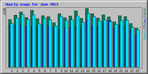 Hourly usage for June 2013
