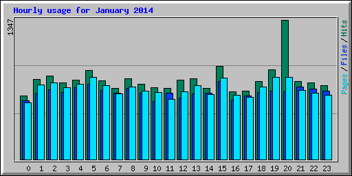 Hourly usage for January 2014