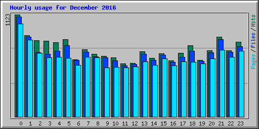 Hourly usage for December 2016