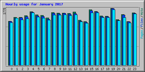 Hourly usage for January 2017