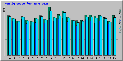 Hourly usage for June 2021